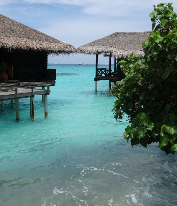 Palafitte in mare cristallino alle Isole Maldive
