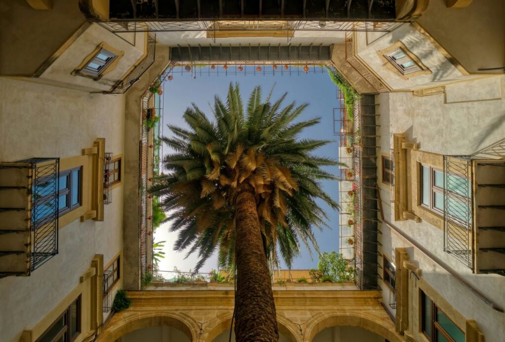 Cortile siciliano con palma al centro visto dal basso