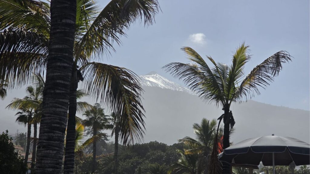 Veduta del Teide e di palme a Tenerife