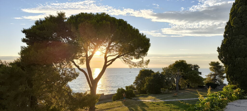 Area verde con alberi sul lungomare di Rovigno.