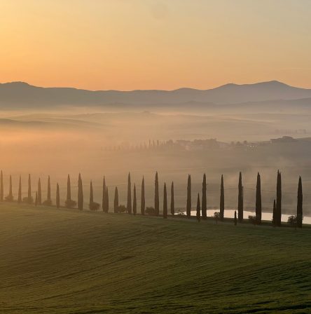 Paesaggio della Val d'Orcia con strada di cipressi al tramonto