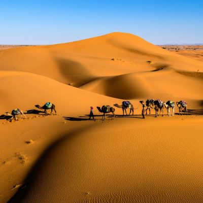 Escursione nel deserto con carovana di cammelli tra le dune